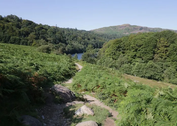 The Willows Casa vacanze *